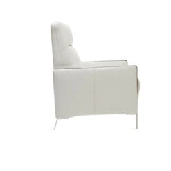 Venice Reclining Chair -CozyNest Store 010365889 5 93440.1690290808.386.513