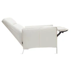 Venice Reclining Chair -CozyNest Store 010365889 8 78300.1690290809.386.513