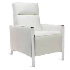 Venice Reclining Chair -CozyNest Store 010365889 94321.1690290807.386.513