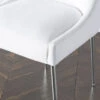 Elinor Dining Chair - Bright Nickel 1 Elinor Dining Chair - Bright Nickel -CozyNest Store 013809877 1 16778.1690279244.386.513