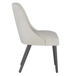 Jessa Dining Chair -CozyNest Store 602034440 2 77289.1690279147.386.513