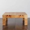Brynn Coffee Table -CozyNest Store webimage 011482923 011785921