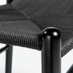 Tia Dining Chair Black/Black - Set Of 2 -CozyNest Store webimage 013112914 DTL1 jpg