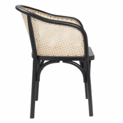 Zaria Arm Chair -CozyNest Store webimage 013130684 2 jpg