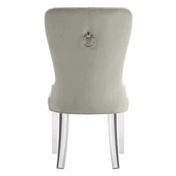 Charlotte Dining Chair - Acrylic -CozyNest Store webimage 013668395a 3 jpg