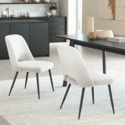 Faye Dining Chair - Set Of 2 -CozyNest Store webimage 601686320 RV3