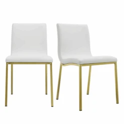 CozyNest Store 25 Alcott Dining Chair - Set Of 2